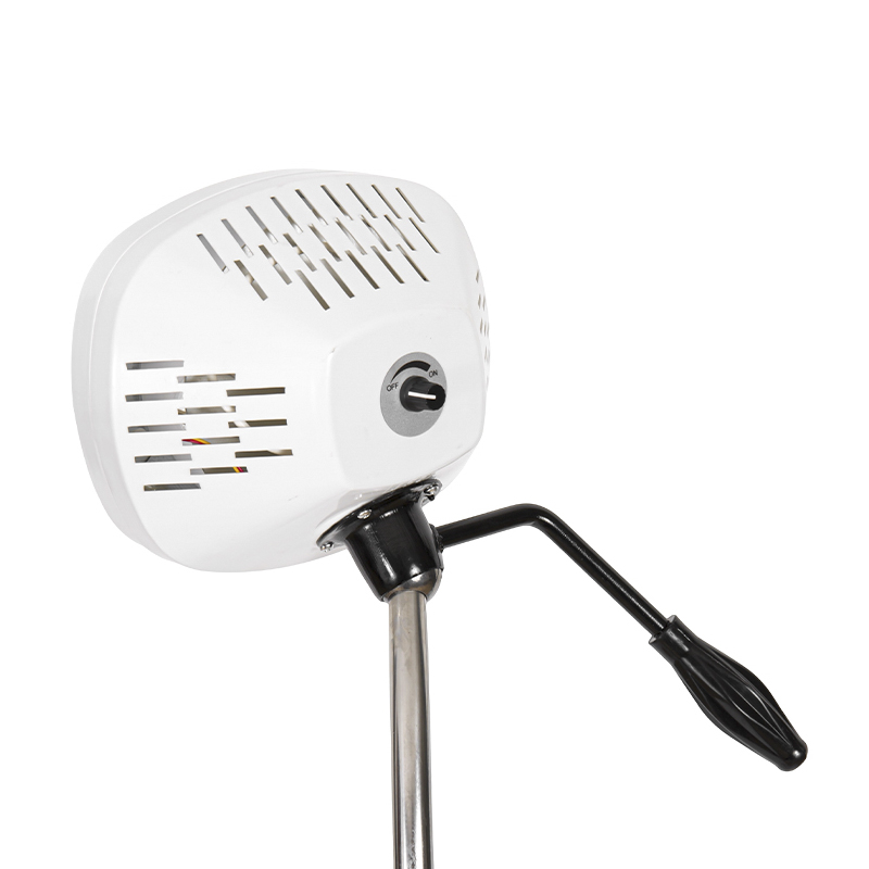 Lâmpada LED para exame odontológico com luz fria de 8 furos Lâmpada LED para exame odontológico com luz fria de 8 furos