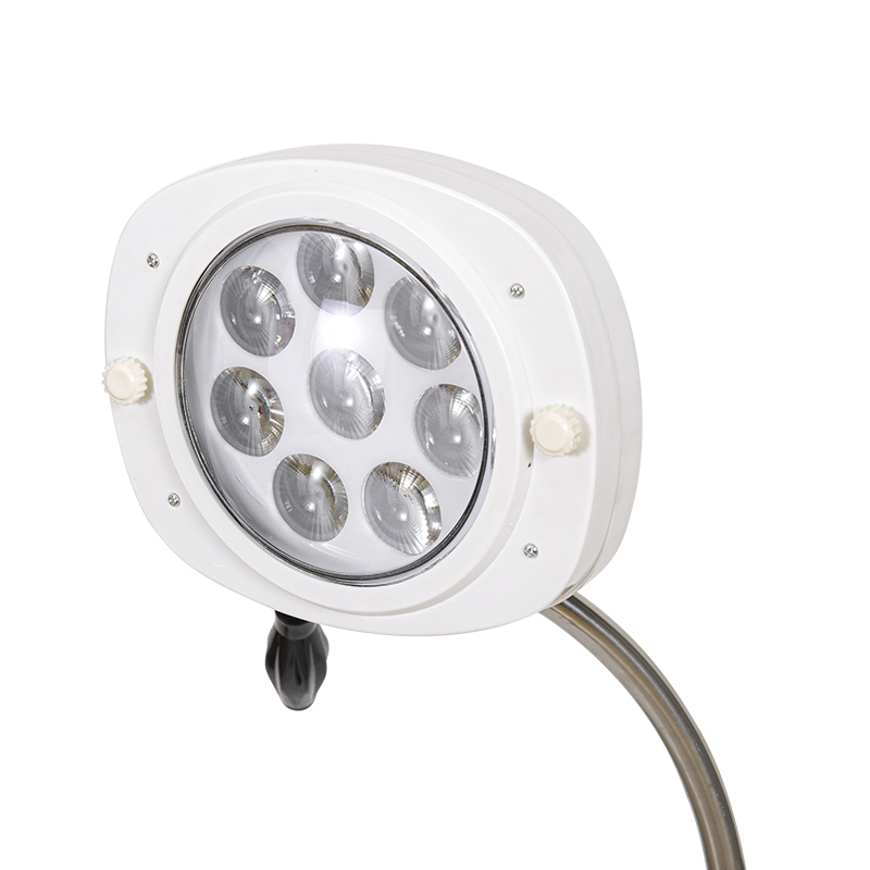 Lâmpada LED para exame odontológico com luz fria de 8 furos Lâmpada LED para exame odontológico com luz fria de 8 furos