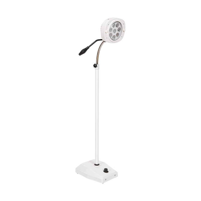 Lâmpada LED para exame odontológico com luz fria de 8 furos Lâmpada LED para exame odontológico com luz fria de 8 furos