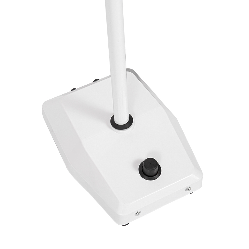 Lâmpada LED para exame odontológico com luz fria de 8 furos Lâmpada LED para exame odontológico com luz fria de 8 furos