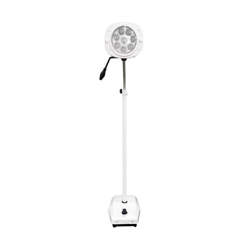 Lâmpada LED para exame odontológico com luz fria de 8 furos Lâmpada LED para exame odontológico com luz fria de 8 furos