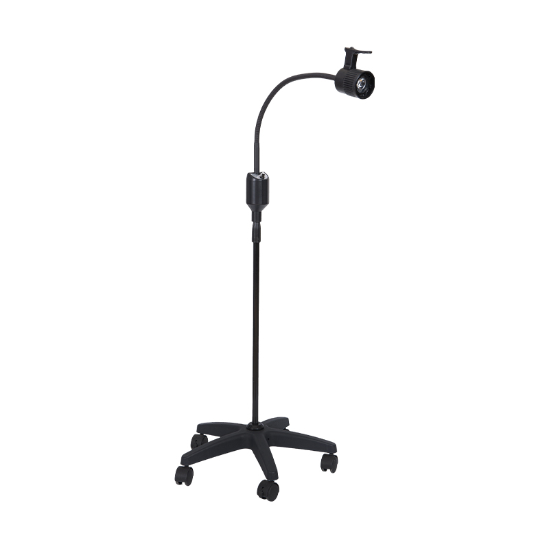 Lâmpada de exame LED ajustável com brilho 3W